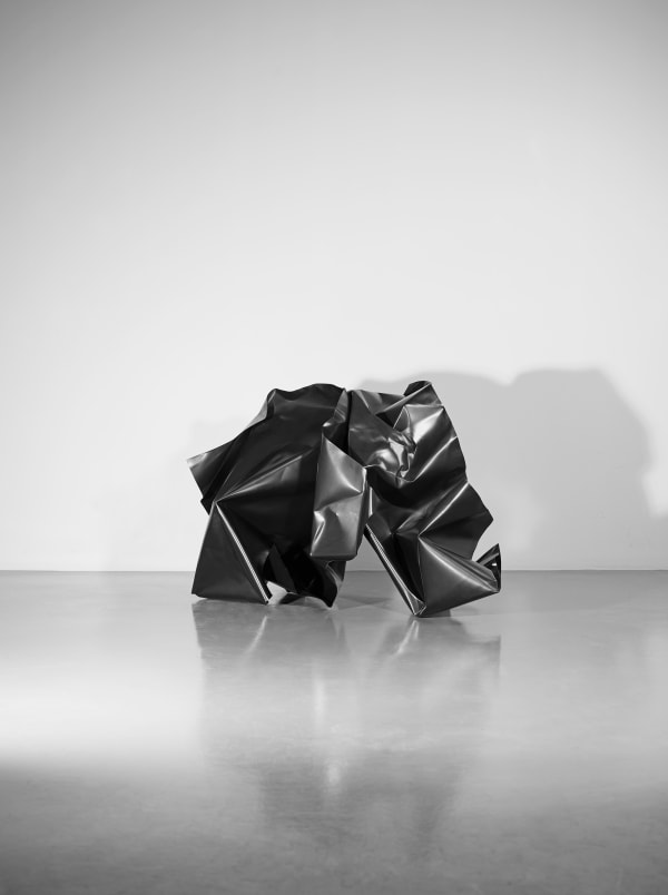 SEYHUN TOPUZ, Crumpled Paper II, 2017