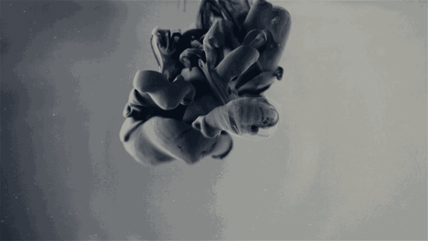 NERMİN ER, Ink, 2017