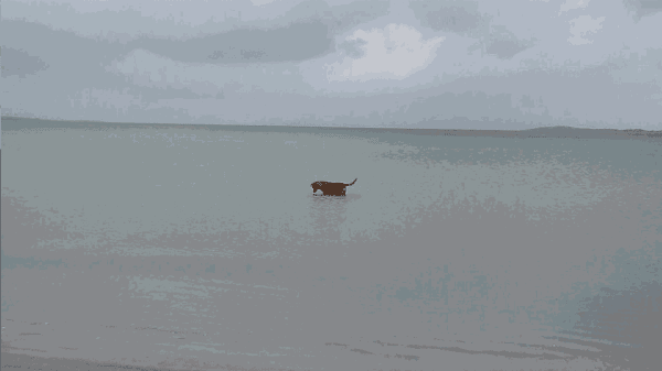 HALE TENGER, HOW CAN WE LIVE TOGETHER, 2021