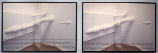 MICHAEL BISHOP, I'm Not Afraid of Black and Brown, 2012