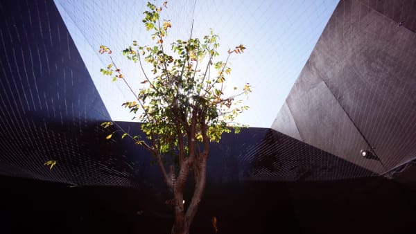 HALE TENGER AT MUSEUM FÜR NEUE KUNST