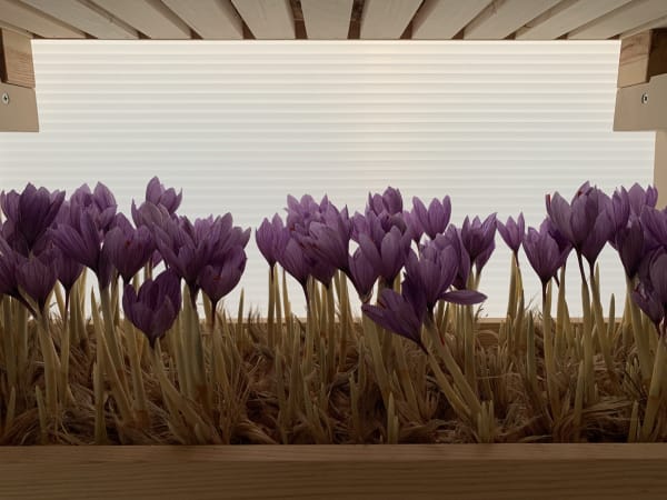 ARAS SEDDIGH AT GAZHANE MUSEUM