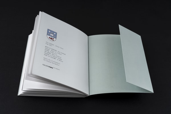 ARAS SEDDIGH'İN KİTABI KOLONİ VATOS YAYIMLANDI