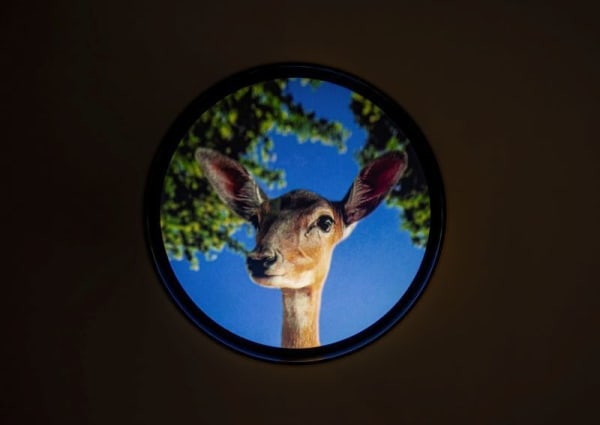 HALE TENGER AND ALİ KAZMA AT OMM PODCAST