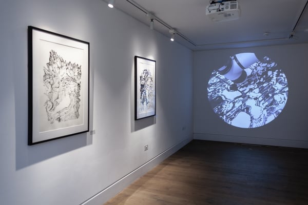 Far Side Of The Moon 3812 London Gallery 3