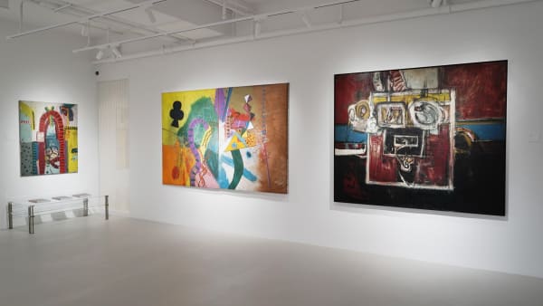 Install Shots Alan Davie 02