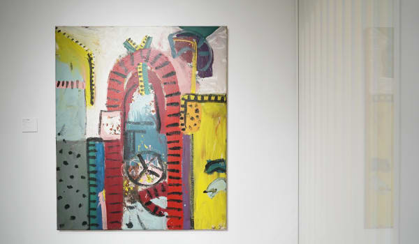 Install Shots Alan Davie 05