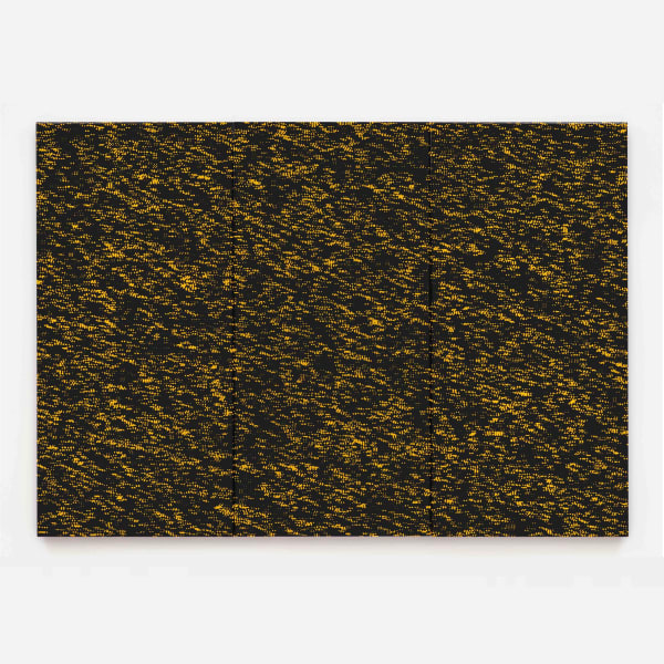 Navid Nuur