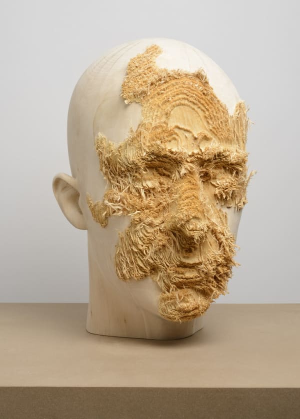 THE TAINTED Shan Hur & Aron Demetz