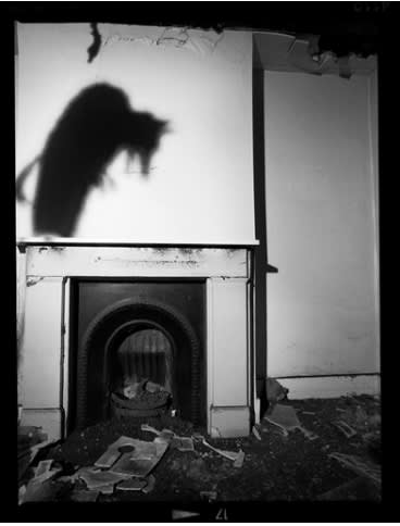 CHARLOTTE COLBERT | SELECTED FOR PADDLE8 | CHARITY AUCTION