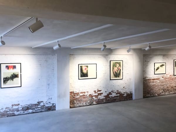 Galleria d'Arte Maggiore G.A.M. | Davide Benati, Art Warehouse Zattere, Venezia