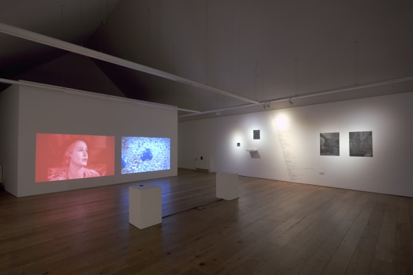 Anja Olofgörs Holly Graham Photograph by Andrew Bruce