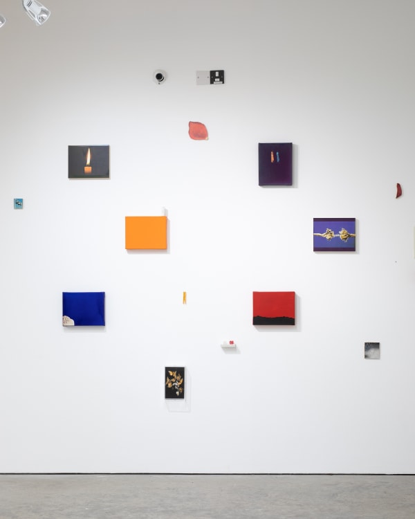 Installation view A slash of Blue- March 2023 Photo: Josef Konczak