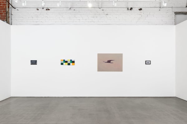 Ian Miyamura Chaos Spawn