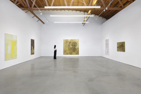 Willa Wasserman Quickening