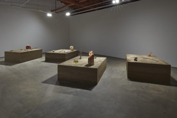 Kelly Akashi Faultline