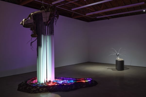 Max Hooper Schneider