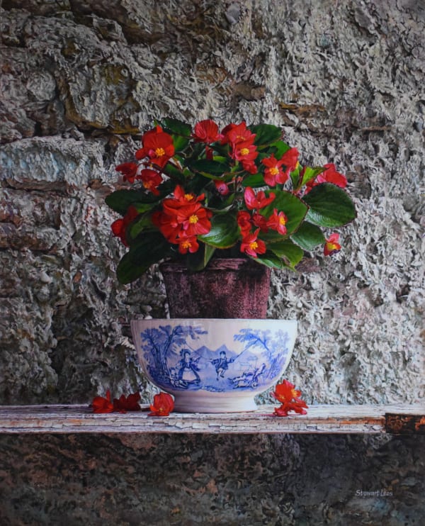 Red Begonia With A Blue Bowl