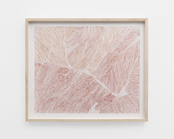 Fibras 2, 2021 Ink on paper 35.6 x 43.2 cm