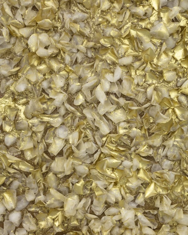 Ana Hernández - Sierra, 2024-25