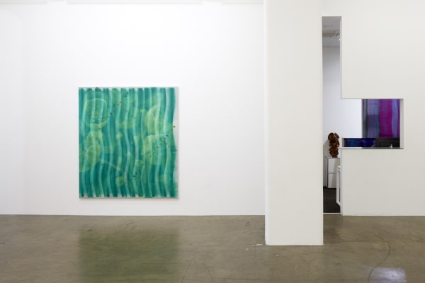 Cousins 2018 Step Size Zero Installation View 1 Sh