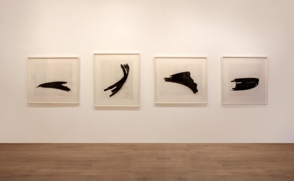 Happy Medium 2016 Installation Image 1