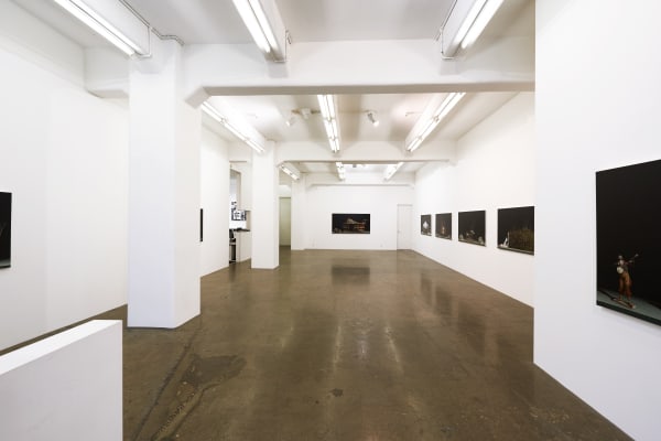 Hight 2016 Return To The Miniature Garden Ls Installation View 1