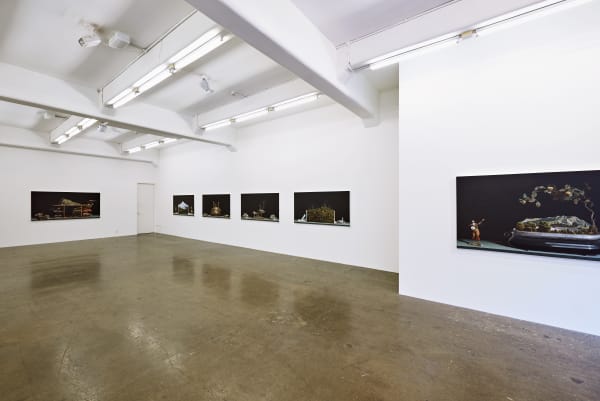 Hight 2016 Return To The Miniature Garden Ls Installation View 11