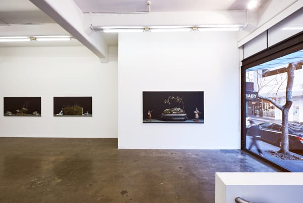 Hight 2016 Return To The Miniature Garden Ls Installation View 12