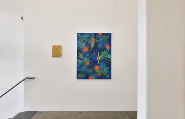Hughes Butterfly Effect Installation View 10
