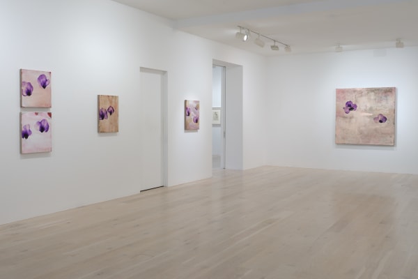 Murado 2023 Between Waking And Dreaming Installation View Sam Hartnett Web 1