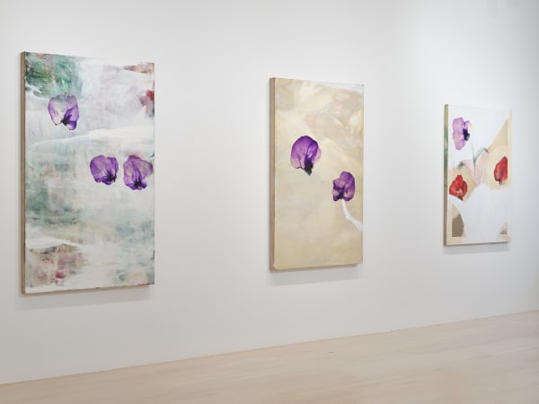 Murado 2023 Between Waking And Dreaming Installation View Sam Hartnett Web 11