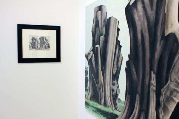 Frizzell 2015 Up The Road Installation Image 11