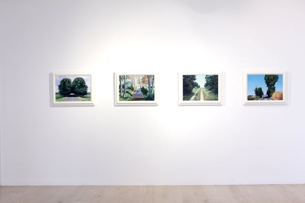 Frizzell 2015 Up The Road Installation Image 2