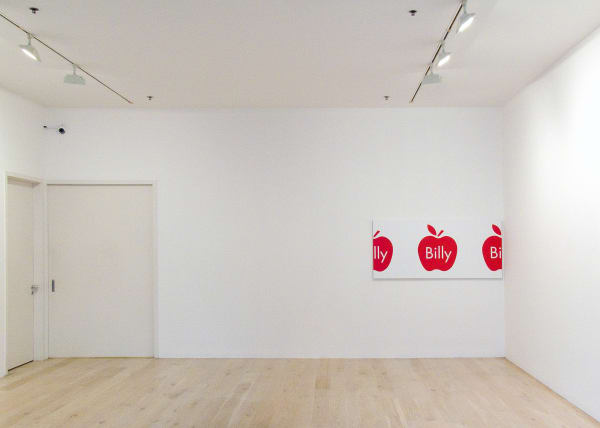 Apple 2015 Withdrawn At The Request Of Sue Crockford Gallery Installation Image 4