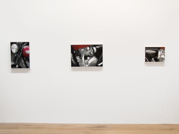 Martin Ball 2015 Still Installation View 7