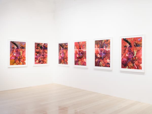 Hemer 2023 Skyscapes Installation View Sam Hartnett Med 1