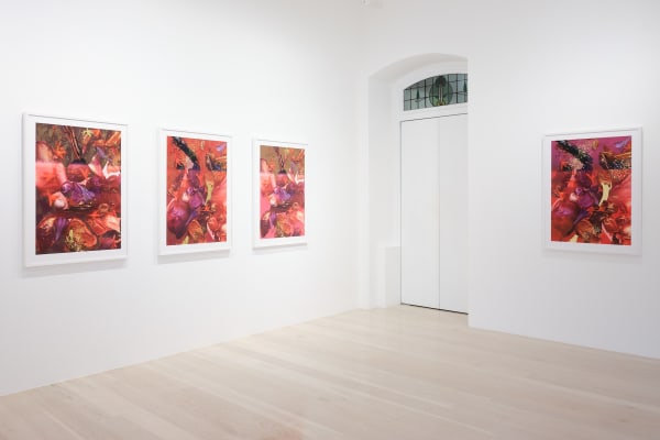 Hemer 2023 Skyscapes Installation View Sam Hartnett Med 2