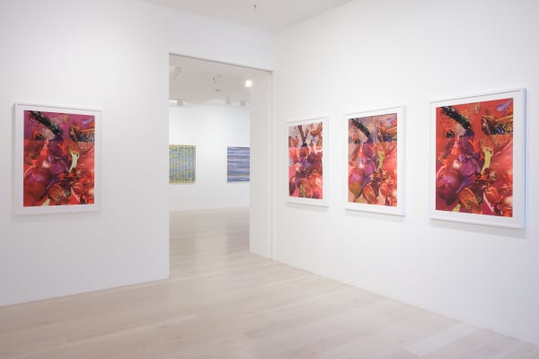 Hemer 2023 Skyscapes Installation View Sam Hartnett Med 4