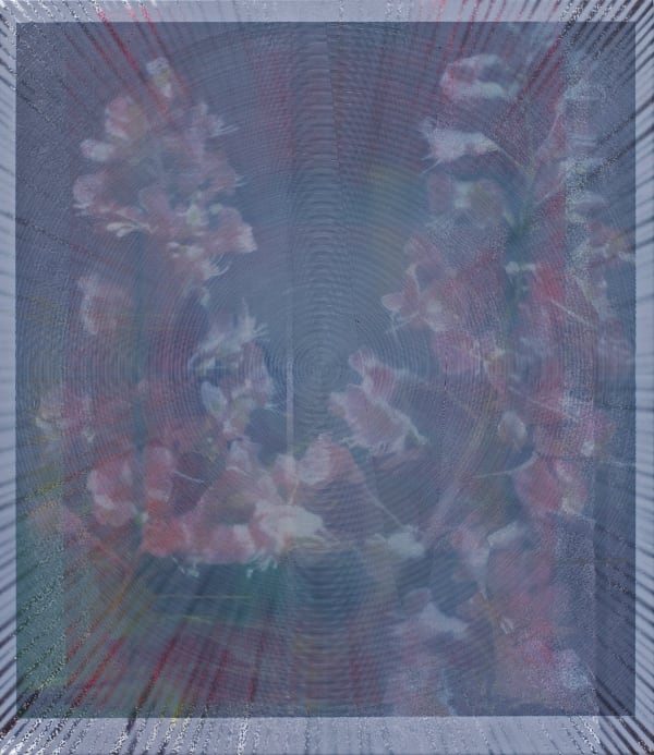 Cousins 2013 Pl 20 Oil And Acrylic On Canvas 1150X1000Mm Acou077 13