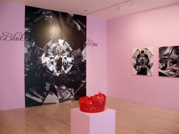 Lee Lucid Dream Installation 2014 01