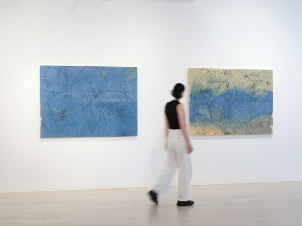 Lindsay 2024 The Plimsoll Line Installation View Sam Hartnett Web 29