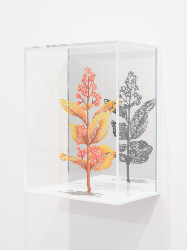 Ben David 2024 Flora And Fauna Installation View Sam Hartnett Web 12