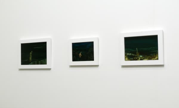 Walsh 2013 Installation View 2