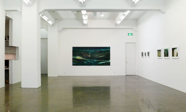 Walsh 2013 Installation View 3
