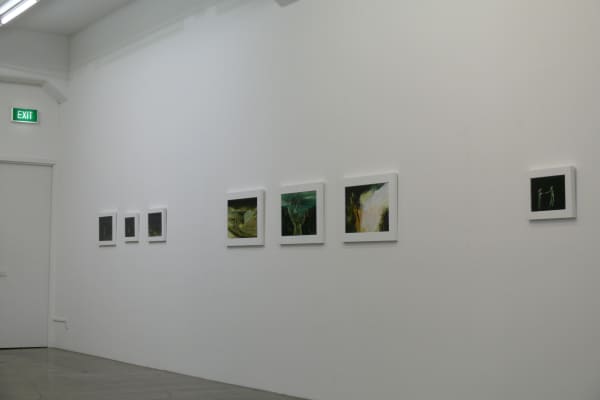 Walsh 2013 Installation View 8