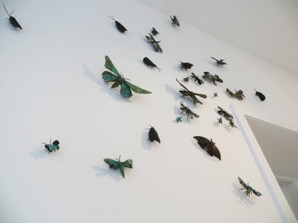 Thomson Moths Detail Ed