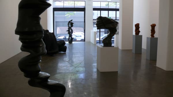 Cragg 2011 Installation 02