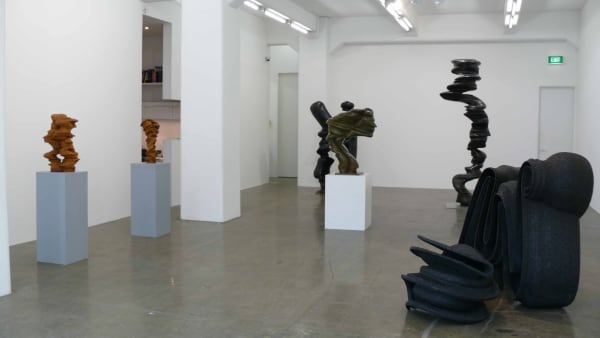 Cragg 2011 Installation 04