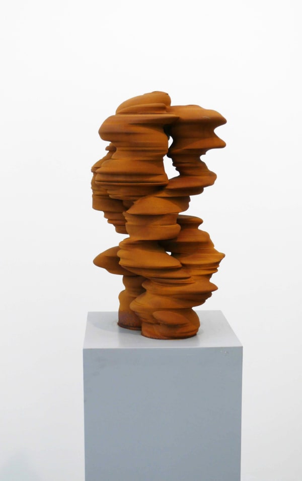 Cragg 2011 Installation 44 Web